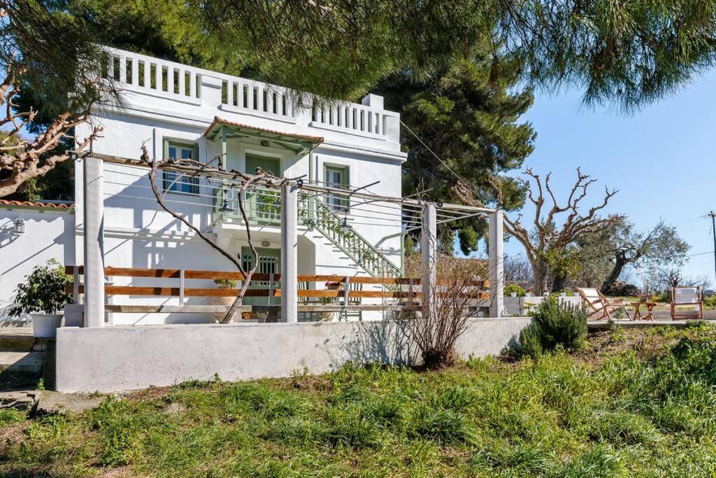 Villa Ambeli Skopelos Zewnętrze zdjęcie